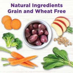 Wellness CORE Bowl Boosters Joint Health Adult Dry Dog Food Topper, 4-oz Bag -Cozy Paws 264865 PT4. AC SS1800 V1703709502