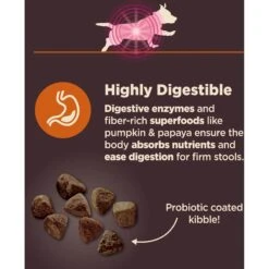 Wellness CORE Digestive Health Wholesome Grains Chicken & Brown Rice Recipe Small Breed Dry Dog Food -Cozy Paws 264876 PT3. AC SS1800 V1608678767