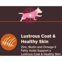 Wellness CORE Digestive Health Wholesome Grains Chicken & Brown Rice Recipe Small Breed Dry Dog Food -Cozy Paws 264876 PT5. AC SS1800 V1608679374