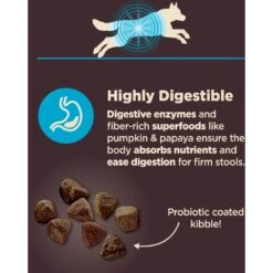 Wellness CORE Digestive Health Wholesome Grains Whitefish & Brown Rice Recipe Dry Dog Food -Cozy Paws 264880 PT3. AC SS1800 V1608677558