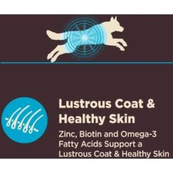 Wellness CORE Digestive Health Wholesome Grains Whitefish & Brown Rice Recipe Dry Dog Food -Cozy Paws 264880 PT5. AC SS1800 V1608680576