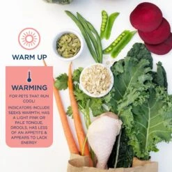 Side By Side Warming Complete & Balanced Chicken & Lamb Stew Wet Dog Food, 12.5-oz Box -Cozy Paws 264984 PT3. AC SS1800 V1611329462