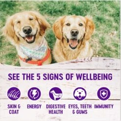 Wellness Complete Health Pate Variety Pack Wet Dog Food -Cozy Paws 265116 PT3. AC SS1800 V1676299400