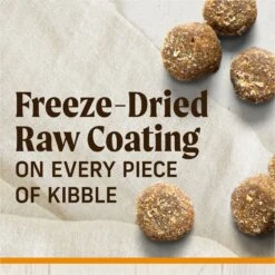 Merrick Healthy Grains Raw-Coated Kibble Real Chicken + Brown Rice Recipe Freeze-Dried Dry Dog Food -Cozy Paws 265200 PT3. AC SS1800 V1673561287