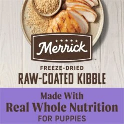 Merrick Healthy Grains Raw-Coated Kibble Puppy Recipe Freeze-Dried Dry Dog Food -Cozy Paws 265208 PT4. AC SS1800 V1673561196