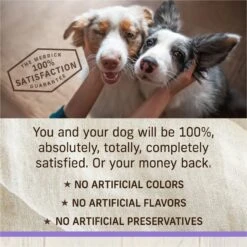 Merrick Healthy Grains Raw-Coated Kibble Puppy Recipe Freeze-Dried Dry Dog Food -Cozy Paws 265208 PT7. AC SS1800 V1673561192