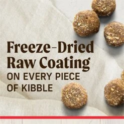 Merrick Healthy Grains Raw-Coated Kibble Real Beef + Brown Rice Recipe Freeze-Dried Dry Dog Food -Cozy Paws 265212 PT3. AC SS1800 V1673561129