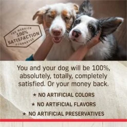 Merrick Healthy Grains Raw-Coated Kibble Real Beef + Brown Rice Recipe Freeze-Dried Dry Dog Food -Cozy Paws 265212 PT7. AC SS1800 V1673561126