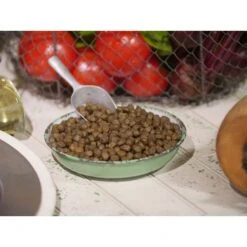 Dr. Gary's Best Breed Holistic Salmon With Vegetables & Herbs Dry Dog Food -Cozy Paws 265413 PT2. AC SS1800 V1609891057