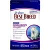 Dr. Gary's Best Breed Holistic Grain-Free Salmon With Fruits & Vegetables Dry Dog Food -Cozy Paws 265421 MAIN. AC SS1800 V1609856248