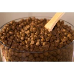 Dr. Gary's Best Breed Holistic Grain-Free Chicken With Fruits & Vegetables Dry Dog Food -Cozy Paws 265426 PT3. AC SS1800 V1609887471