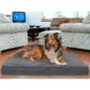 FurHaven Terry Deluxe Memory Foam Pillow Cat & Dog Bed With Removable Cover
