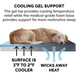 FurHaven Terry Deluxe Cooling Gel Pillow Cat & Dog Bed With Removable Cover -Cozy Paws 265755 PT6. AC SS1800 V1609380446