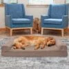 FurHaven Plush & Suede Cooling Gel Bolster Dog Bed With Removable Cover -Cozy Paws 266006 MAIN. AC SS1800 V1619657259