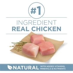 Purina ONE +Plus Adult Joint Health Formula Dry Dog Food -Cozy Paws 266156 PT2. AC SS1800 V1674852070