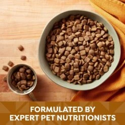 Nature's Recipe Mature Lamb & Rice Recipe Dry Dog Food -Cozy Paws 266853 PT3. AC SS1800 V1672851238