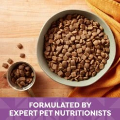 Nature's Recipe Adult Lamb, Barley & Brown Rice Recipe Dry Dog Food -Cozy Paws 266854 PT3. AC SS1800 V1672851234