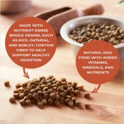 Nature's Recipe Adult Lamb, Barley & Brown Rice Recipe Dry Dog Food -Cozy Paws 266854 PT5. AC SS1800 V1612219339