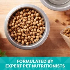 Nature's Recipe Easy-To-Digest Chicken, Brown Rice & Barley Recipe Dry Dog Food -Cozy Paws 266858 PT3. AC SS1800 V1672851236