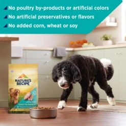Nature's Recipe Easy-To-Digest Chicken, Brown Rice & Barley Recipe Dry Dog Food -Cozy Paws 266858 PT4. AC SS1800 V1672850477