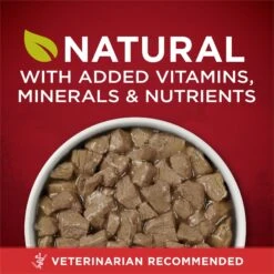 Purina ONE SmartBlend True Instinct Tender Cuts In Gravy Real Beef & Bison Wet Dog Food, 13-oz Can, Case Of 12 -Cozy Paws 267595 PT1. AC SS1800 V1671734928