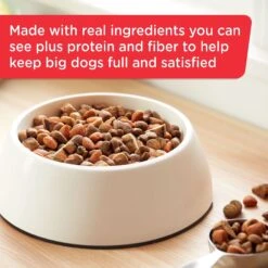 Rachael Ray Nutrish Big Life Large Breed Hearty Beef, Veggies & Brown Rice Recipe Dry Dog Food -Cozy Paws 269171 PT3. AC SS1800 V1652768798