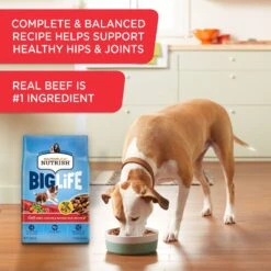 Rachael Ray Nutrish Big Life Large Breed Hearty Beef, Veggies & Brown Rice Recipe Dry Dog Food -Cozy Paws 269171 PT4. AC SS1800 V1652740612