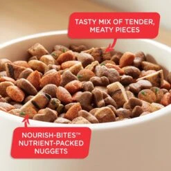 Rachael Ray Nutrish Big Life Large Breed Hearty Beef, Veggies & Brown Rice Recipe Dry Dog Food -Cozy Paws 269171 PT5. AC SS1800 V1657656525