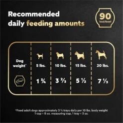 Cesar Wholesome Bowls Chicken Recipe Small Breed Adult Wet Dog Food -Cozy Paws 269187 PT6. AC SS1800 V1695666295