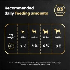 Cesar Wholesome Bowls Beef, Chicken, Potatoes & Carrots Recipe Small Breed Adult Wet Dog Food -Cozy Paws 269189 PT6. AC SS1800 V1695674518