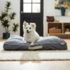 Frisco Chambray Pillow Dog Bed W/Removable Cover -Cozy Paws 270915 MAIN. AC SS1800 V1626882266