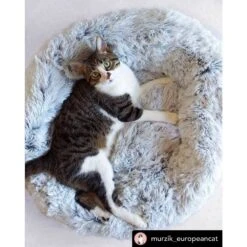 Mr. Peanut's OrthoPlush Orthopedic Cat & Dog Bed -Cozy Paws 271217 PT4. AC SS1800 V1612399008