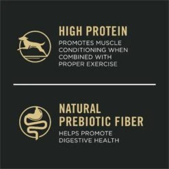 Purina Pro Plan Specialized Beef & Rice Formula High Protein Large Breed Dry Dog Food -Cozy Paws 271625 PT4. AC SS1800 V1649203620