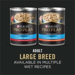 Purina Pro Plan Specialized Beef & Rice Formula High Protein Large Breed Dry Dog Food -Cozy Paws 271625 PT7. AC SS1800 V1649219201