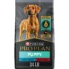 Purina Pro Plan Development Beef & Rice Formula High Protein Large Breed Dry Puppy Food -Cozy Paws 271628 MAIN. AC SS1800 V1649120799