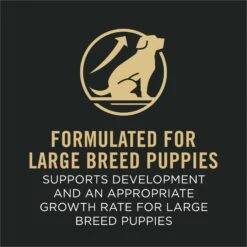 Purina Pro Plan Development Beef & Rice Formula High Protein Large Breed Dry Puppy Food -Cozy Paws 271628 PT3. AC SS1800 V1649199739