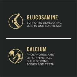 Purina Pro Plan Development Beef & Rice Formula High Protein Large Breed Dry Puppy Food -Cozy Paws 271628 PT4. AC SS1800 V1649228187