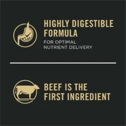 Purina Pro Plan Development Beef & Rice Formula High Protein Large Breed Dry Puppy Food -Cozy Paws 271628 PT7. AC SS1800 V1649226992