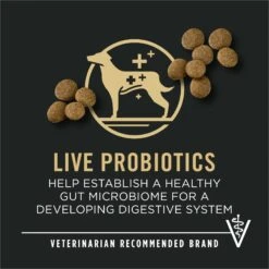 Purina Pro Plan Development Beef & Rice Formula High Protein Large Breed Dry Puppy Food -Cozy Paws 271628 PT8. AC SS1800 V1649197937