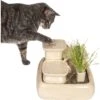 Miaustore Dog & Cat Ceramic Water Fountain, 115-oz -Cozy Paws 271771 MAIN. AC SS1800 V1650016909