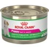 Royal Canin Puppy Appetite Stimulation Canned Dog Food -Cozy Paws 272067 MAIN. AC SS1800 V1696441070