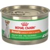 Royal Canin Beauty Healthy Skin Adult Canned Dog Food -Cozy Paws 272677 MAIN. AC SS1800 V1696520443