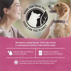 Purina Beyond Beef, Chicken & Turkey Recipes Variety Pack Grain-Free Wet Dog Food, 12.5-oz Can, Case Of 12 -Cozy Paws 275986 PT5. AC SS1800 V1700160119