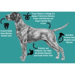 Chicken Soup For The Soul Beef & Brown Rice Recipe Large Breed Adult Dry Dog Food, 28-lb Bag -Cozy Paws 275993 PT3. AC SS1800 V1691091152