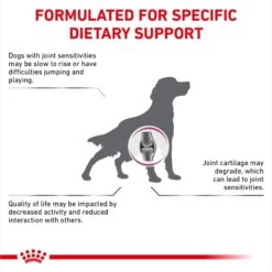 Royal Canin Veterinary Diet Adult Advanced Mobility Support Dry Dog Food -Cozy Paws 275995 PT3. AC SS1800 V1694463361