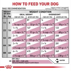 Royal Canin Veterinary Diet Adult Advanced Mobility Support Dry Dog Food -Cozy Paws 275995 PT6. AC SS1800 V1694465540