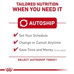 Royal Canin Veterinary Diet Adult Advanced Mobility Support Dry Dog Food -Cozy Paws 275995 PT7. AC SS1800 V1694463422