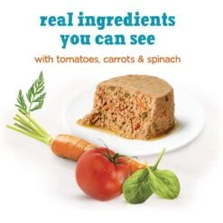 Purina Beneful Incredibites Pate With Real Chicken, Tomatoes, Carrots & Spinach Wet Dog Food -Cozy Paws 276923 PT2. AC SS1800 V1700160150