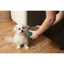 Waggo Ripple Solid Ceramic Dog & Cat Bowl -Cozy Paws 277046 PT2. AC SS1800 V1698093466