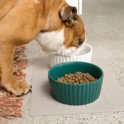 Waggo Ripple Solid Ceramic Dog & Cat Bowl -Cozy Paws 277046 PT3. AC SS1800 V1698093409